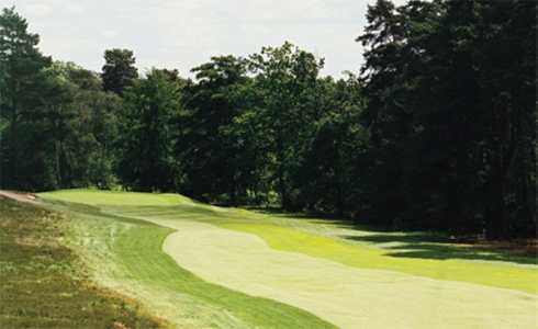 Downhill hole on the blue course at The Berkshire Golf Club