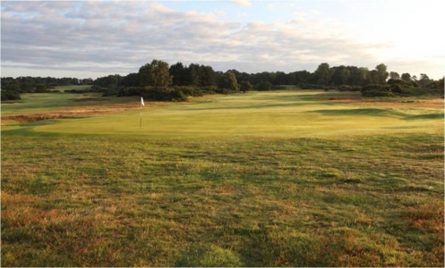 Rough and green of the Aldeburgh golf course