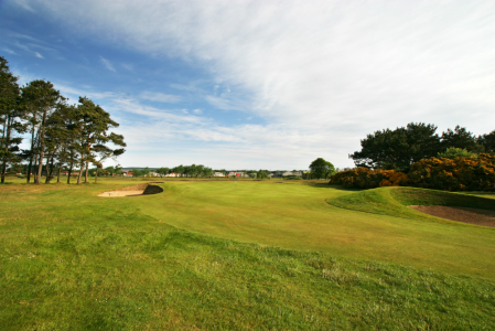 Green rough at Carnoustie Burnside