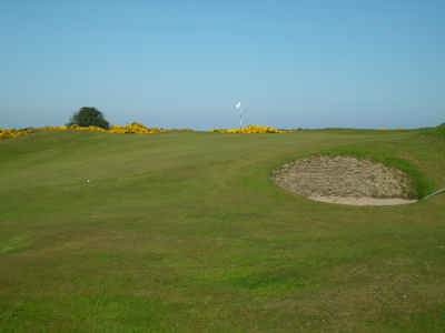 8th hole at Eden Course