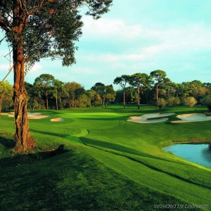 Ensoleillement sur le parcours d'Innisbrook en Floride 