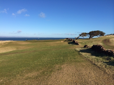 Fairway at renaissance Golf course