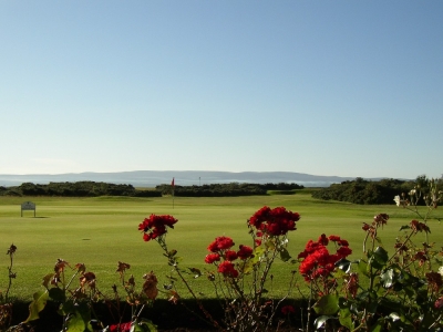green behind flowers at Fortrose and Rosemarkie golf course