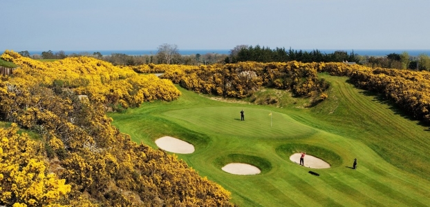 Golfers on the elevated green at Druids Glen Golf Course 