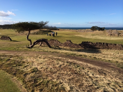 View at Renaissance Golf course