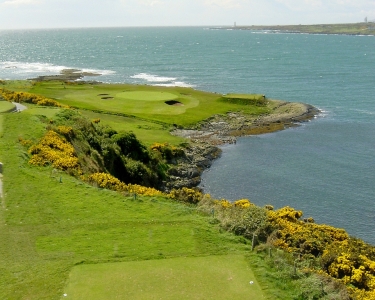Long Par 3 on the Ardglass golf course