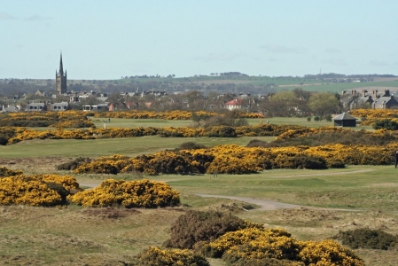 Town behind holes at Montrose Medal golf course