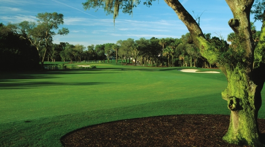 Trou 9 sur le parcours Turtle Point à Kiawah en Caroline du Sud 