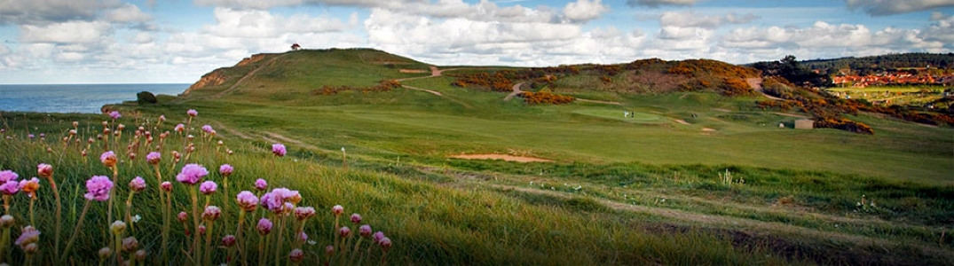 Flowers and rough on the Sheringham golf course