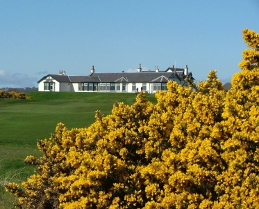 Gorse and Club House at Royal Aberdeen