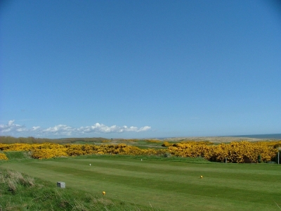 Tee box on the Balgownie Golf course at Royal aberdeen