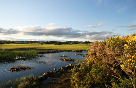 River next to the green at Carnoustie Burnside