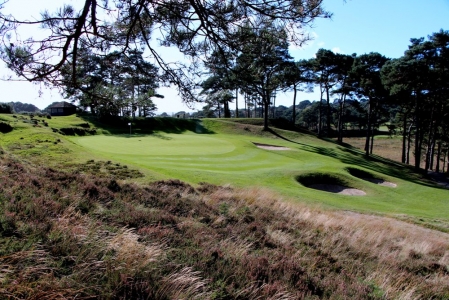 Elevated green on the Parkstone golf course