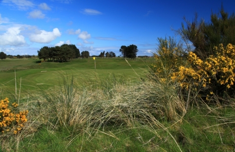 17th hole at Monietieth 