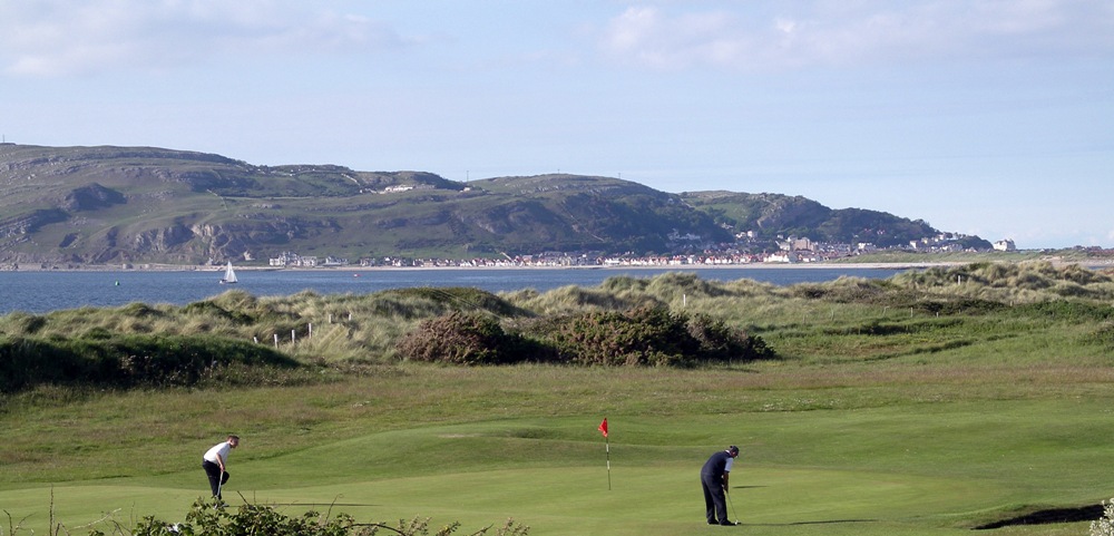 Players putting on Conwy golf course