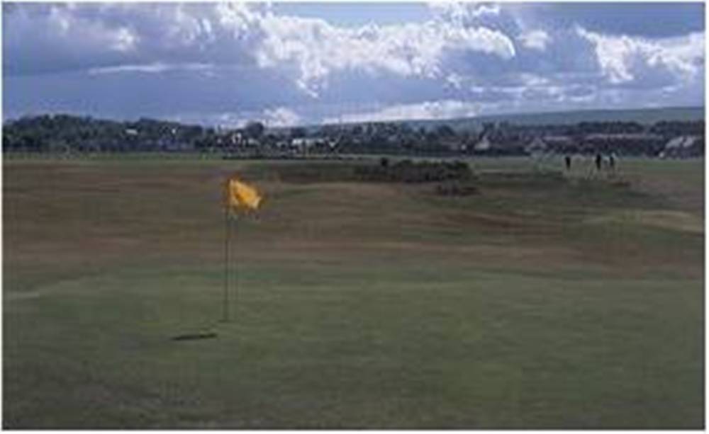 Green at Musselburgh Old Links