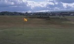 Green at Musselburgh Old Links