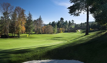 Large green au milieu des arbres sur le parcours de Vidago Palace au Nord du Portugal près de Porto
