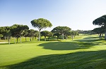 Large fairway et arbre sur le golf Oceanico 'Old' au Portugal