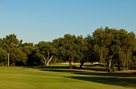 Fairway longé par les arbres sur le parcours de Quinta do Peru au Portugal